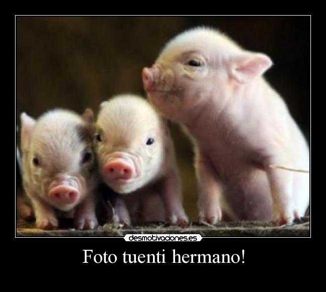 Foto tuenti hermano! -