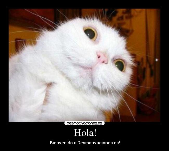 Hola! - 