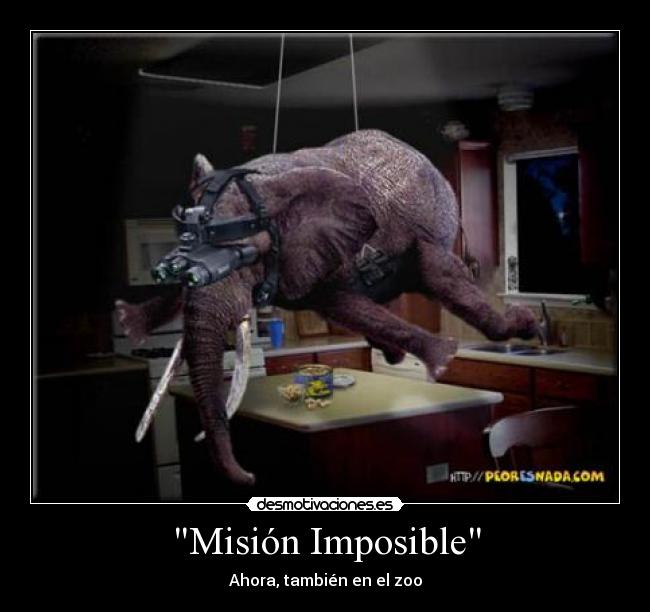 carteles imposible zoo elefante tom cruise mision imposible desmotivaciones