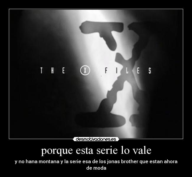 porque esta serie lo vale - y no hana montana y la serie esa de los jonas brother que estan ahora de moda