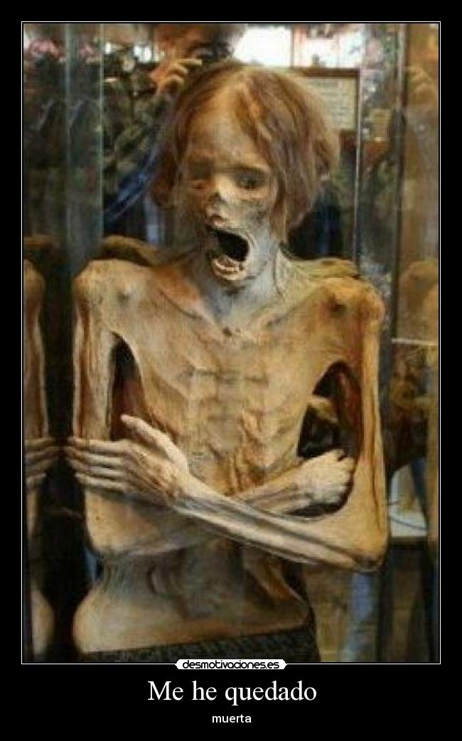 carteles quedado muerta desmotivaciones