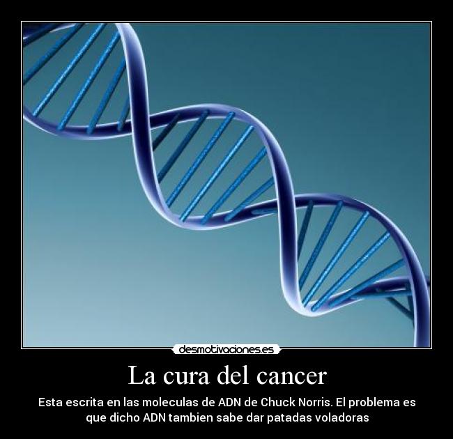 La cura del cancer -