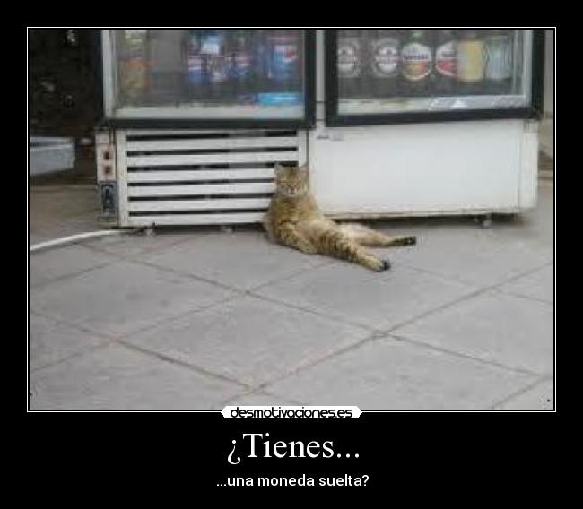 ¿Tienes... - ...una moneda suelta?