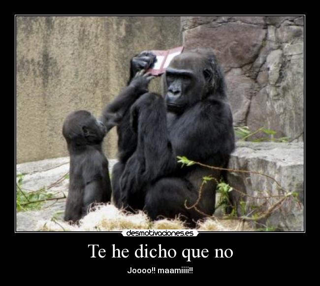 Te he dicho que no - Joooo!! maamiiii!!