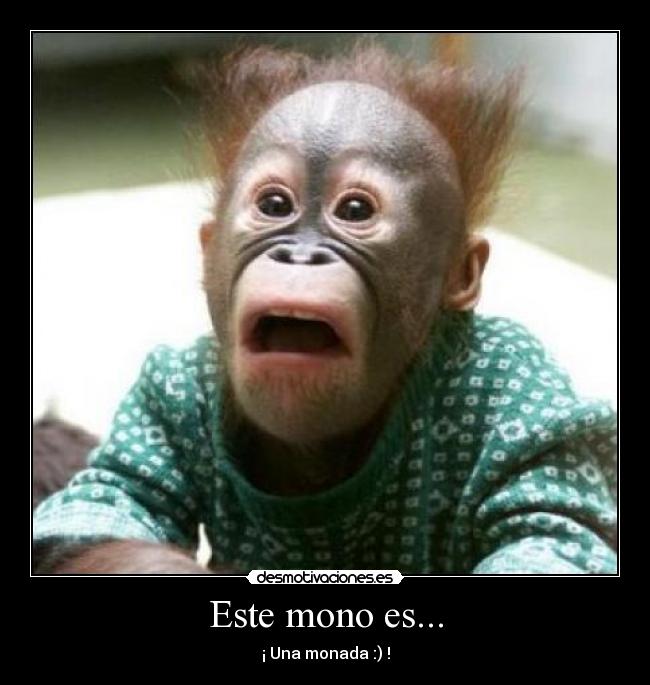Este mono es... -
