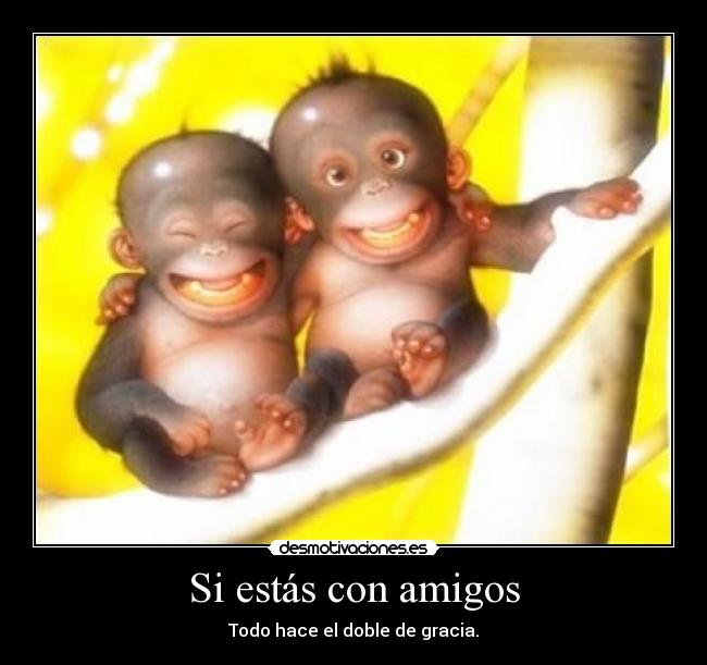Si estás con amigos - 