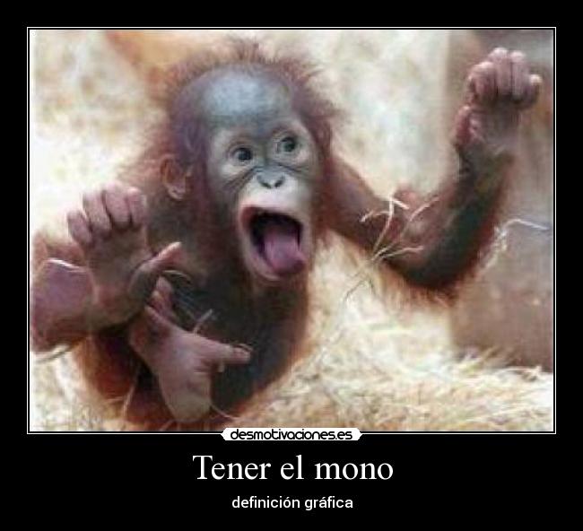 Tener el mono - definición gráfica