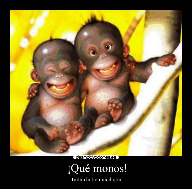 ¡Qué monos! - Todos lo hemos dicho