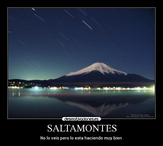 SALTAMONTES -