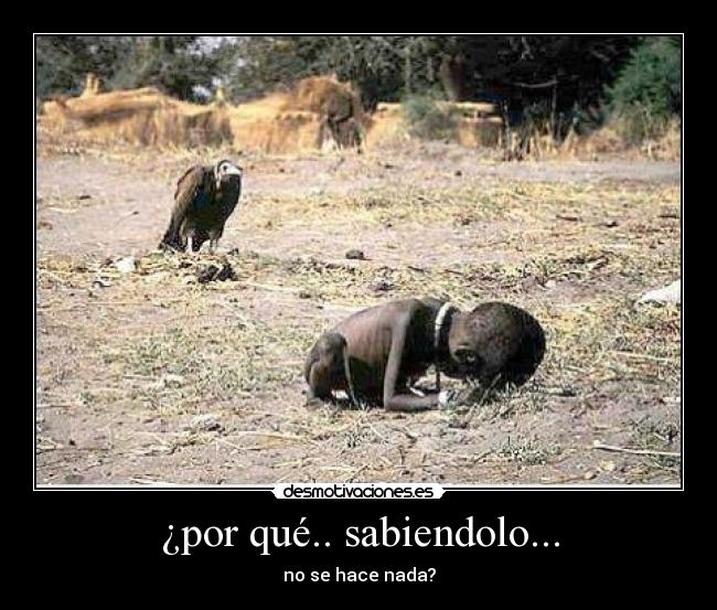 ¿por qué.. sabiendolo... - no se hace nada?