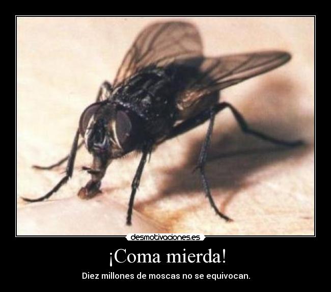 carteles coma mierda mosca diez millones desmotivaciones