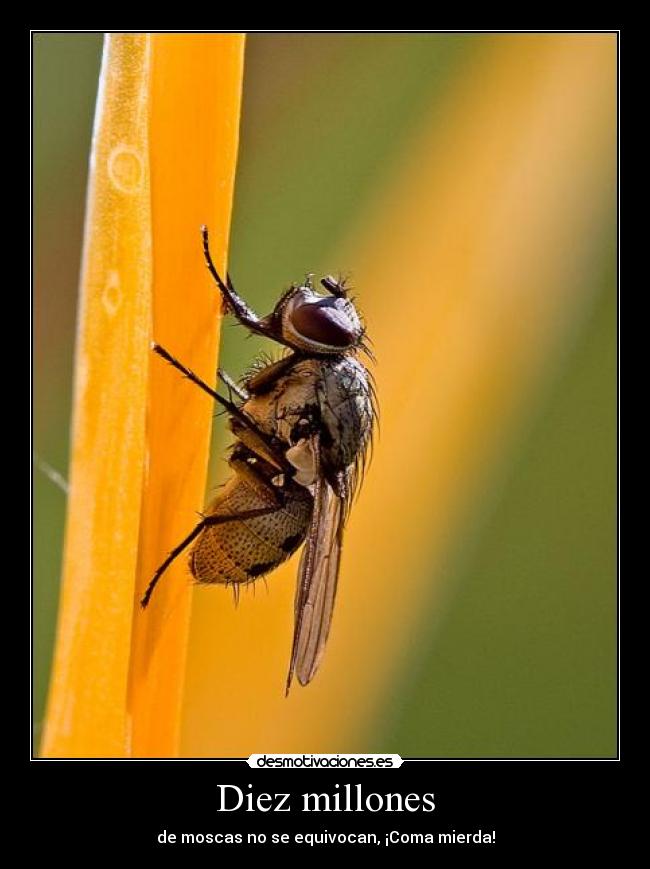 Diez millones - 