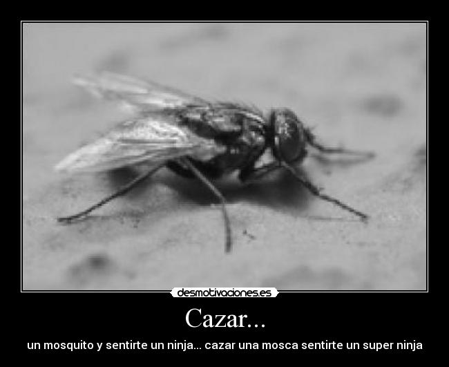 Cazar... - un mosquito y sentirte un ninja... cazar una mosca sentirte un super ninja