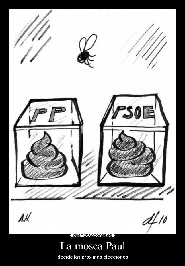 La mosca Paul -