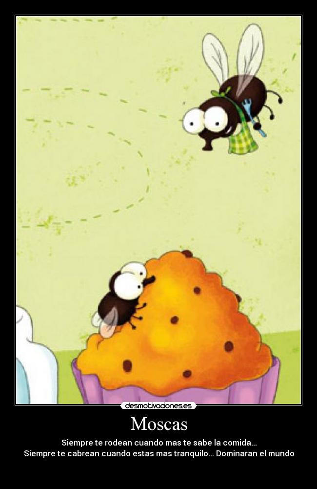 carteles bichos desmotivaciones