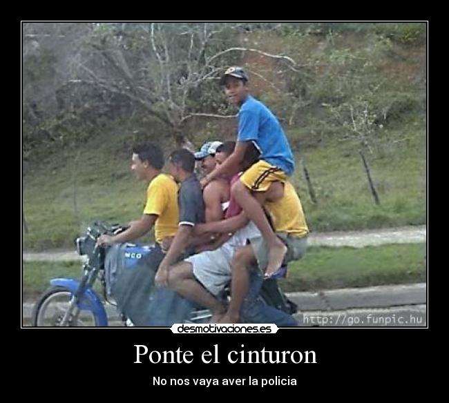 Ponte el cinturon - 