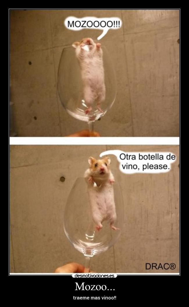 Mozoo... - traeme mas vinoo!!
