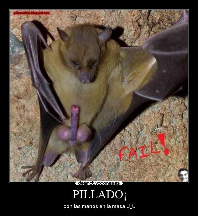 PILLADO¡ - con las manos en la masa U_U