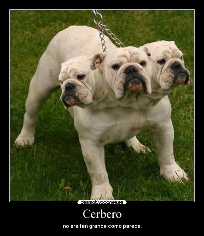 Cerbero - 