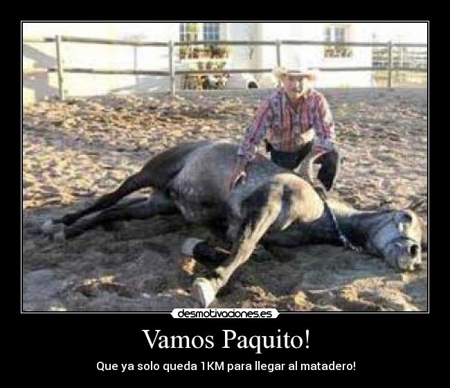 Vamos Paquito! - Que ya solo queda 1KM para llegar al matadero!