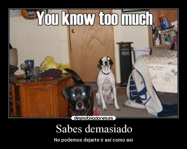 Sabes demasiado - 