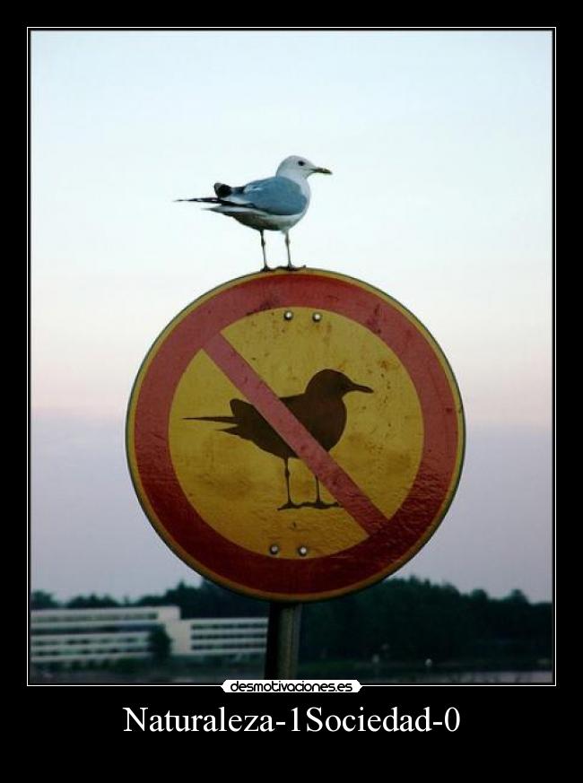 Naturaleza-1Sociedad-0 -