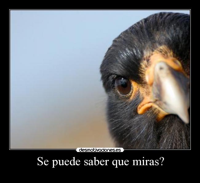 Se puede saber que miras? -