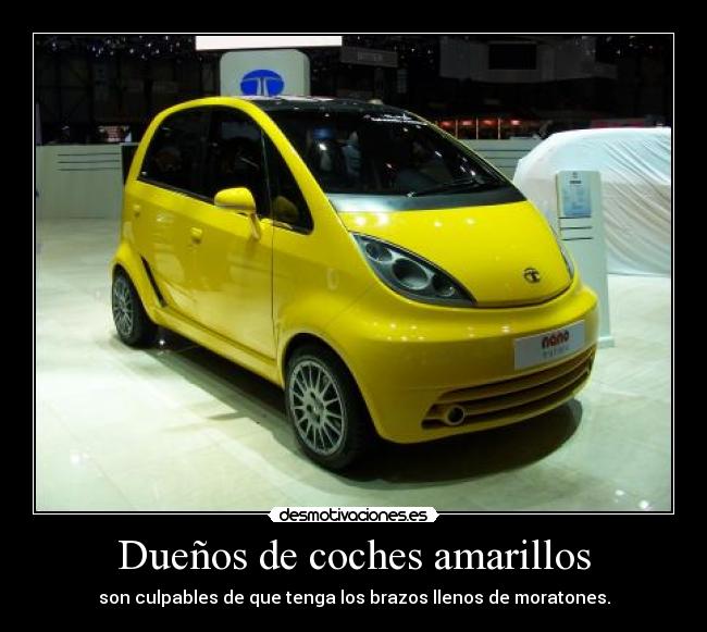 Dueños de coches amarillos - son culpables de que tenga los brazos llenos de moratones.