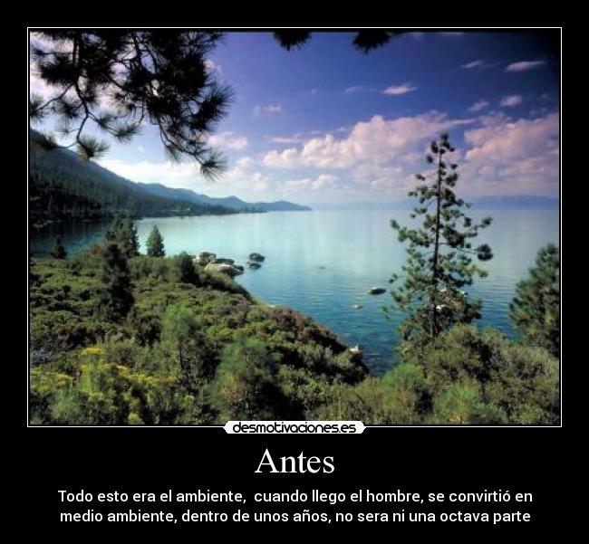 Antes - Todo esto era el ambiente, cuando llego el hombre, se convirtió en
medio ambiente, dentro de unos años, no sera ni una octava parte