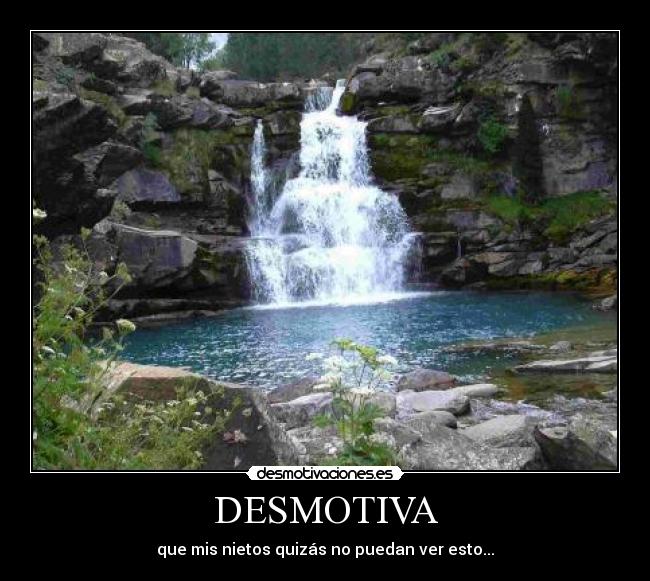 DESMOTIVA - que mis nietos quizás no puedan ver esto...