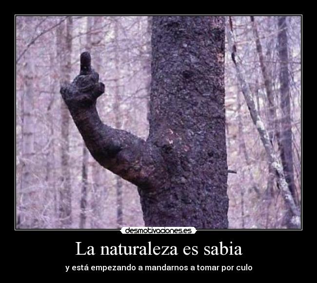 La naturaleza es sabia - y está empezando a mandarnos a tomar por culo