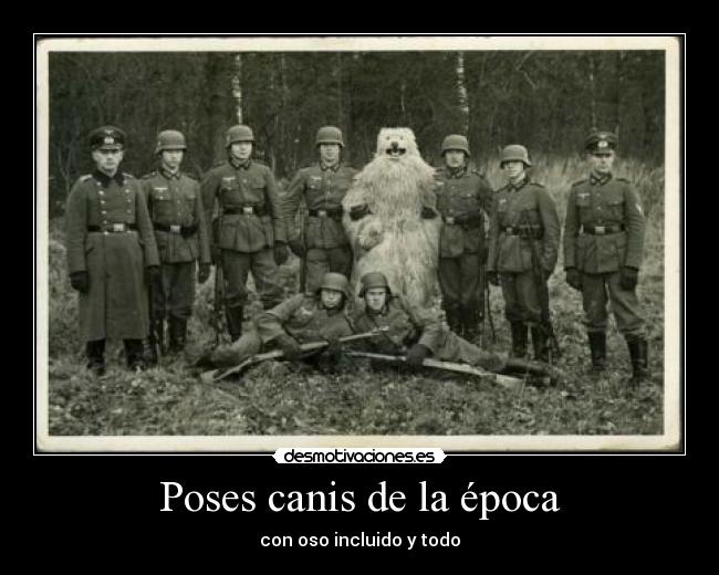 Poses canis de la época - con oso incluido y todo