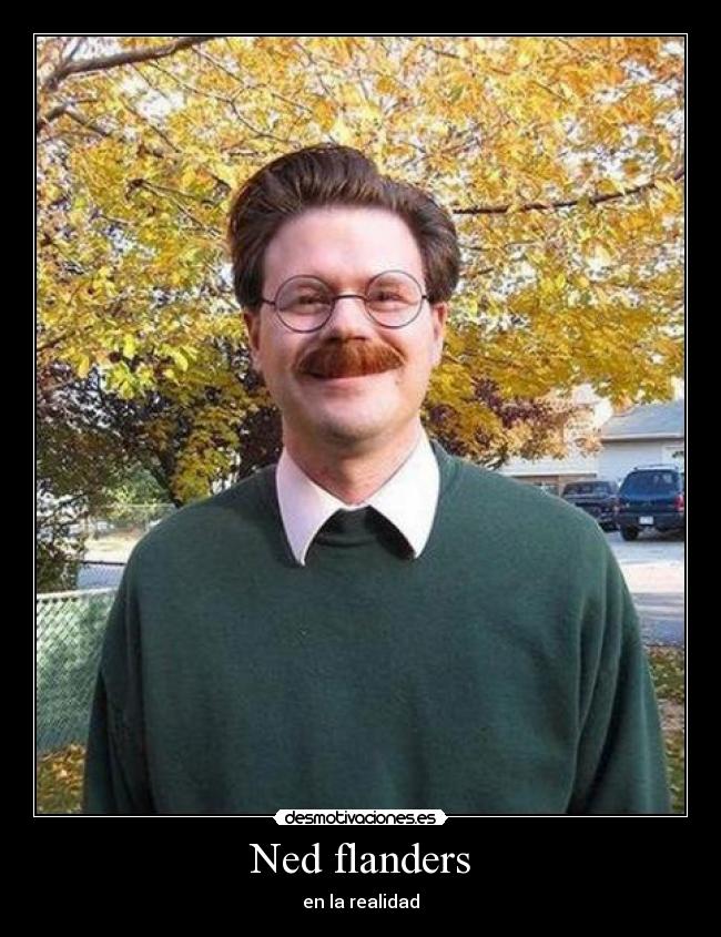Ned flanders -