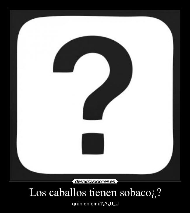 Los caballos tienen sobaco¿? - gran enigma?¿?¿U_U