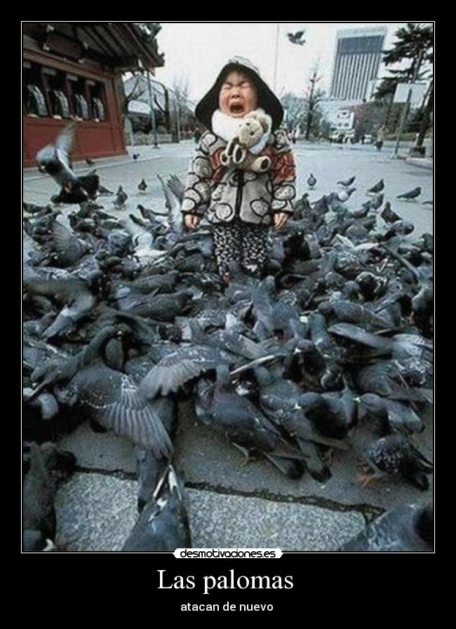Las palomas -