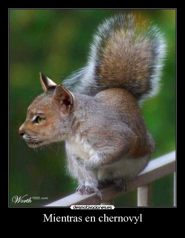 Mientras en chernovyl -