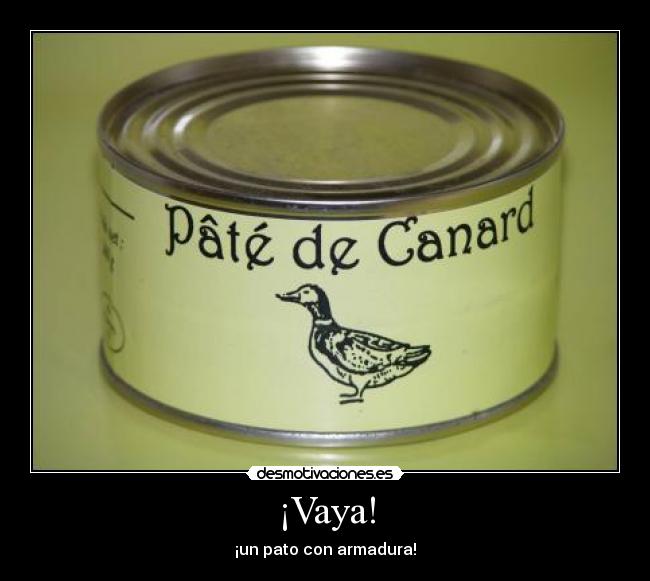 ¡Vaya! - ¡un pato con armadura!