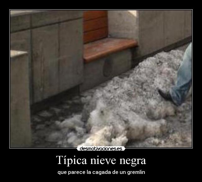carteles tipica nieve negra que parece cagada gremlin desmotivaciones