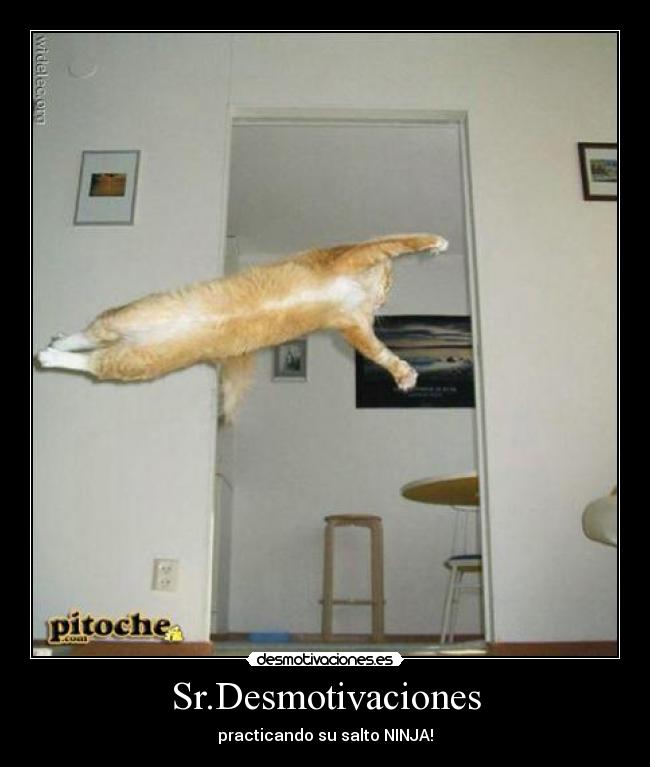 Sr.Desmotivaciones - practicando su salto NINJA!