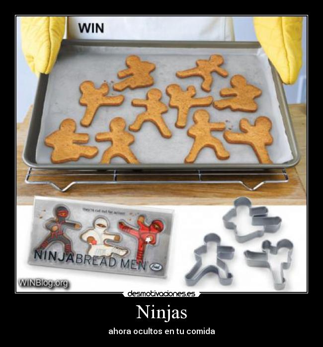 Ninjas -