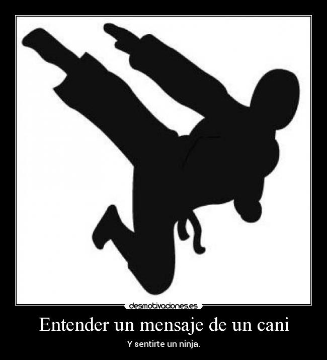 carteles ser ninja desmotivaciones