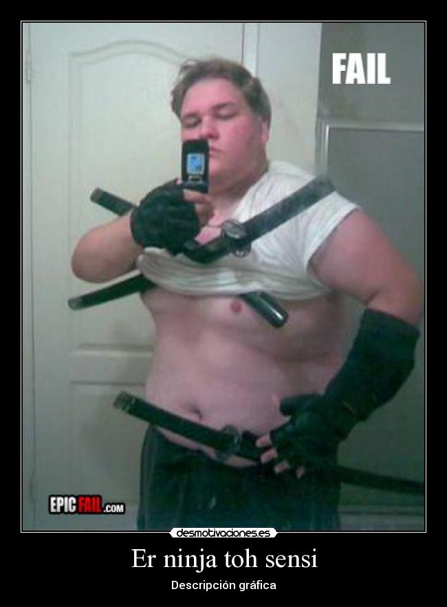 Er ninja toh sensi - Descripción gráfica