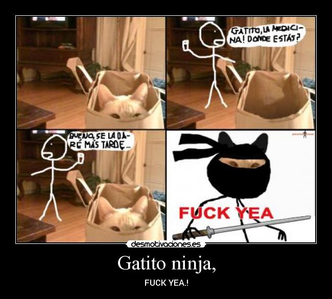carteles gatosninja desmotivaciones