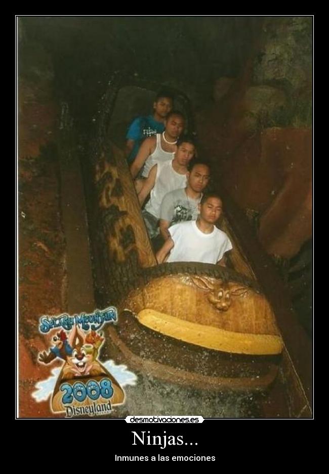 Ninjas... -