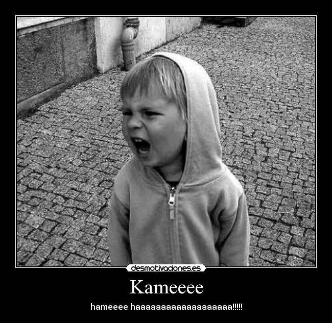 Kameeee - hameeee haaaaaaaaaaaaaaaaaaa!!!!!
