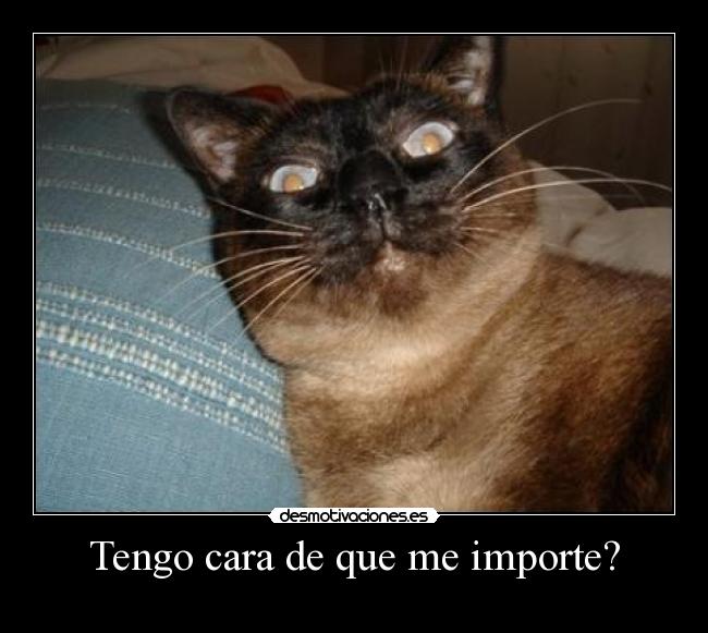 Tengo cara de que me importe? -
