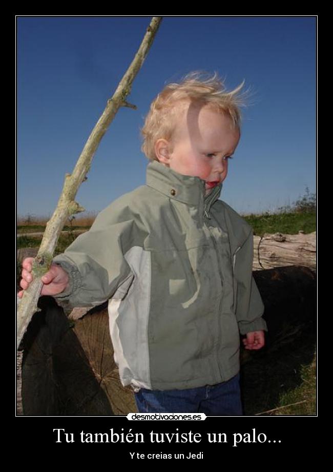 Tu también tuviste un palo... - Y te creias un Jedi