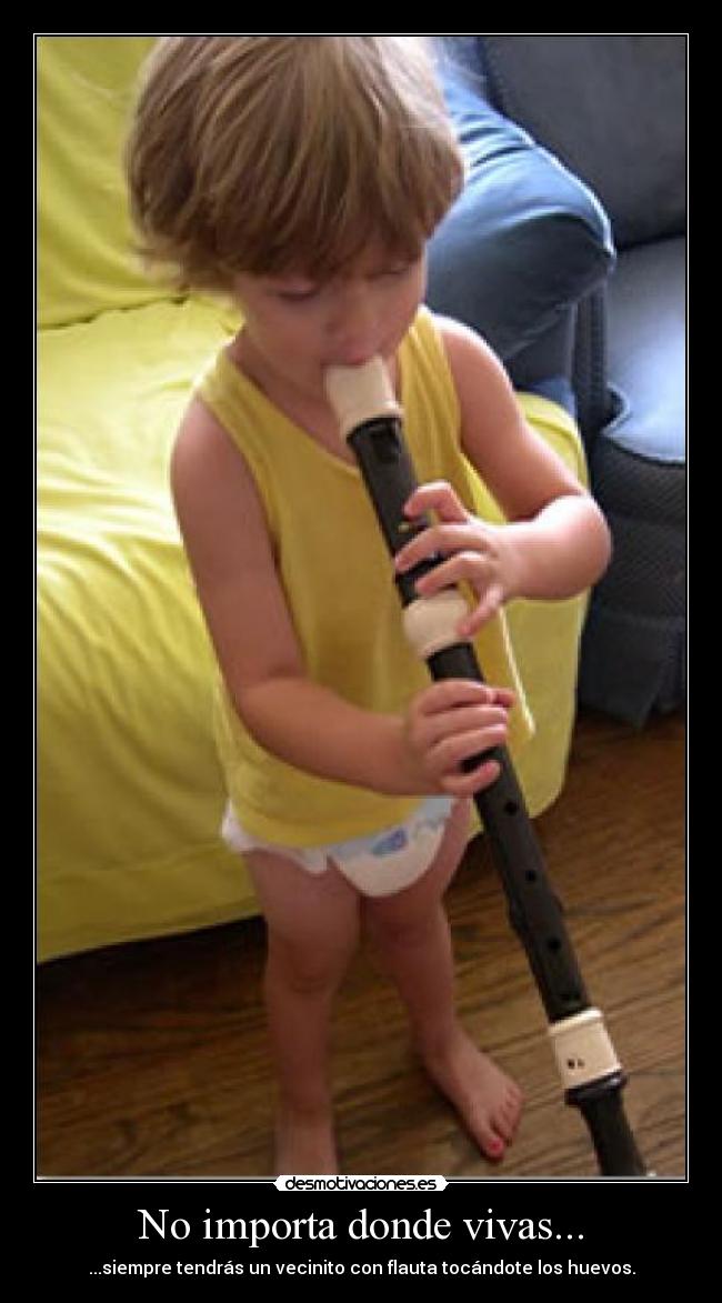 No importa donde vivas... - ...siempre tendrás un vecinito con flauta tocándote los huevos.