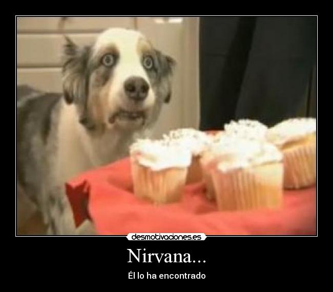 Nirvana... - Él lo ha encontrado