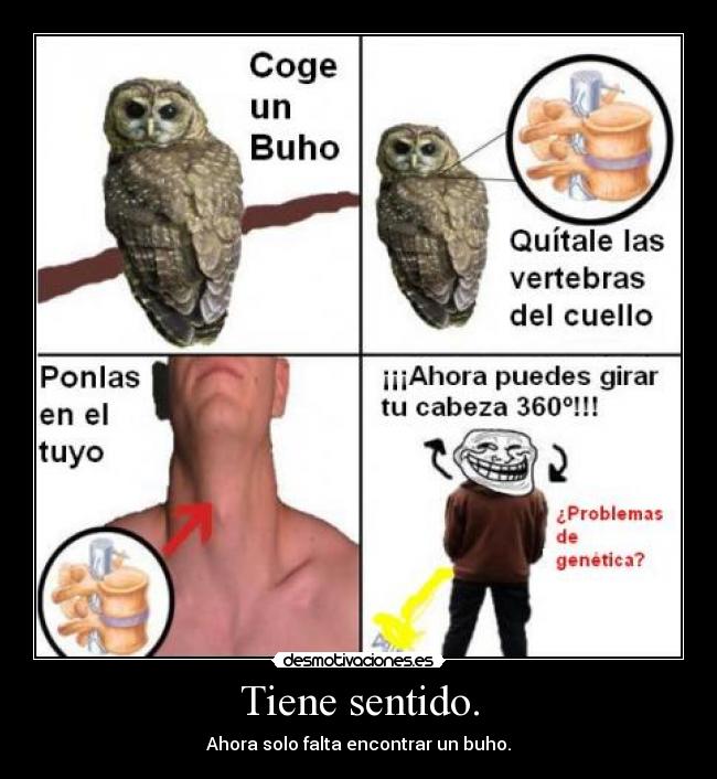 Tiene sentido. - Ahora solo falta encontrar un buho.